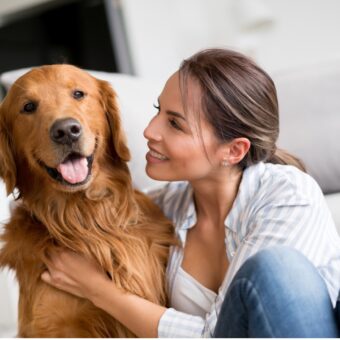 Malech-Law-In-A-Divorce-Who-Gets-the-Dog